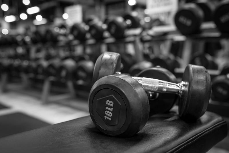 Dumbbells racked on a storage rack